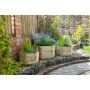 York Hexagonal Wooden Planter - Set Of 3