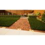 Clay Paving - 210mm x 100mm x 50mm Cotswold Clay