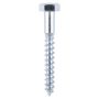 12mm x 100mm - Coach Screw Hexagon DIN 571 - BZP - Bag of 4