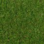Namgrass 40mm Artificial Grass - Oakley - 2m x 10m