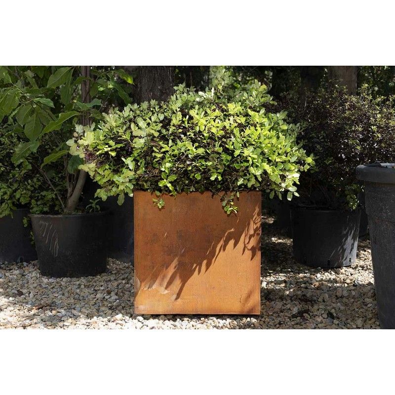Corten Steel Cube Planter - 300mm x 300mm x 300mm